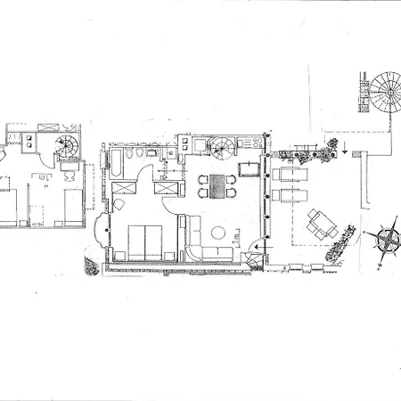 Barony Agave * Lugano