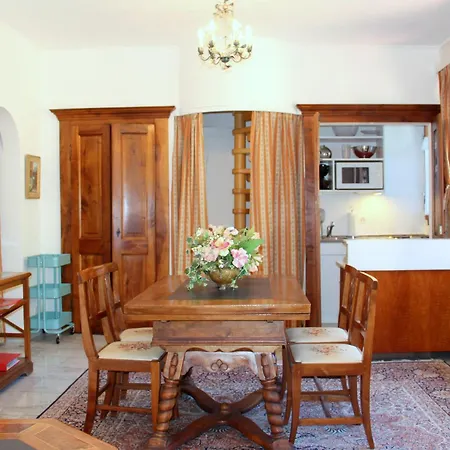 Barony Agave * לוגאנו